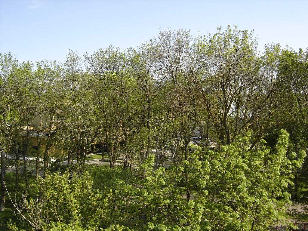 Central Park Family Hotel Καβάρνα Εξωτερικό φωτογραφία