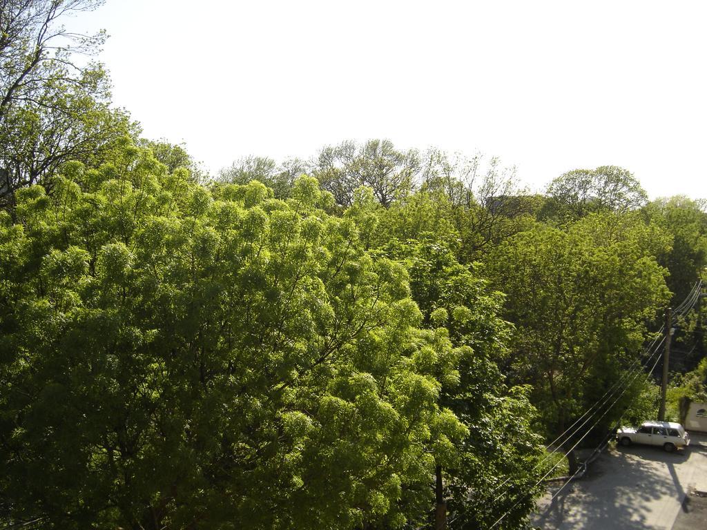 Central Park Family Hotel Καβάρνα Εξωτερικό φωτογραφία